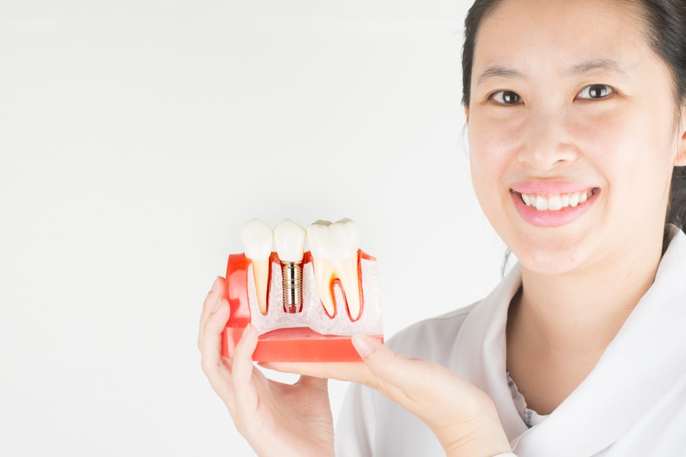 Dentist show model of dental implant inside gums.